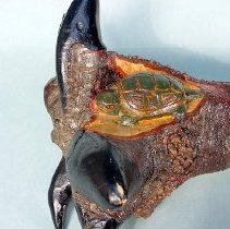 high res digital photo